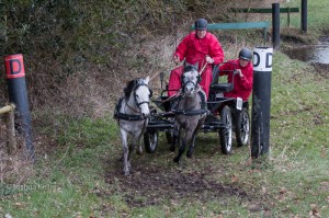 oefenmarathon 2016 MG 0042-0042 